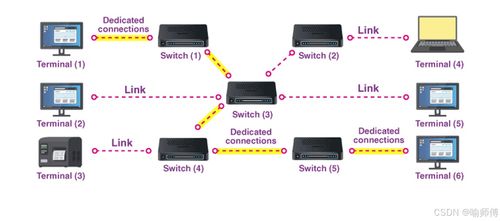 計算機網(wǎng)絡系統(tǒng)工程服務 深入解析電路、分組與報文交換技術